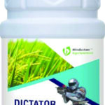 DICTATOR